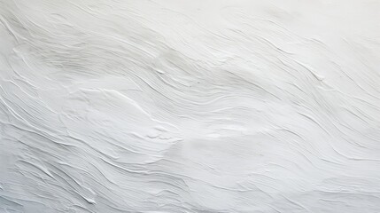 Canvas Print - strokes white brush texture