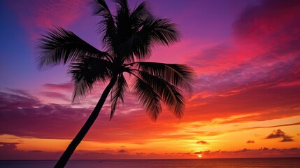 Wall Mural - paradise palm tree sky