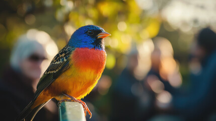 vibrant bird perched on railing, showcasing its colorful plumage against blurred background of people. scene captures beauty of nature and wildlife