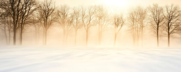 Wall Mural - captivating winter scene: snow-covered field, bare trees, and golden sunlight filtering through mist