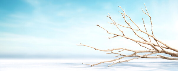Wall Mural - dry branches lay on snow under blue sky, creating serene winter scene for holiday themes. cold lands