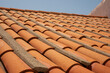 © vegefox.com - A close up of terracotta roof tiles with a slight perspective The pattern of the tiles creates a pleasing geometric design
