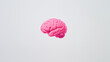 © cato_rium - Human brain pink color on white background, anatomy and biology. Concept banner template of idea, mental development, artificial intelligence and brain diseases with space for text