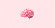 © cato_rium - Human brain pink color on pink background, anatomy and biology. Concept banner template of idea, mental development, artificial intelligence and brain diseases with space for text