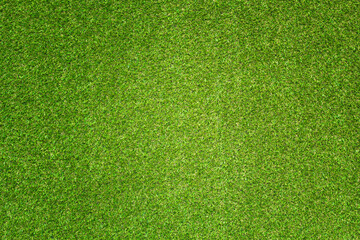 Canvas Print - green grass texture