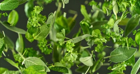 Aufkleber - Freeze Motion of Flying Fresh Herbs Leaves.