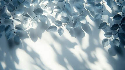 Poster - abstract silhouettes shadow a white background of natural leaves falling on the wall nature leaves and plant shade with sunlight dappled on white wall texture for background wallpaper and desig
