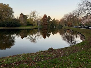 Wall Mural - Beautiful view of colorful trees, fallen leaves and canal on autumn day