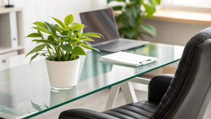 Aufkleber - The workspace features a contemporary glass desk that reflects natural light accompanied by an elegant black leather chair while a vibrant green plant enhances the inviting