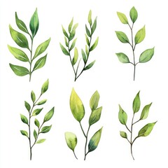 Handcrafted Watercolor Collection of Green Sprigs and Leaves on Crisp White Canvas for Textile and Wrapping Paper Design