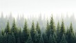 © Waraporn - Mystical misty pine forest landscape with towering evergreen trees shrouded in ethereal fog creating a serene and tranquil natural scene