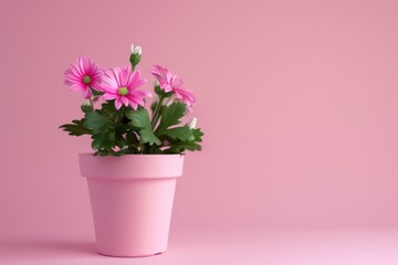 Poster - A potted plant with bright pink flowers and leaves against a matching pink background