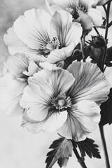 Aufkleber - A collection of colorful flowers captured in monochrome