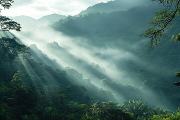 Poster - A serene mountain scene with sunlight shining through the trees
