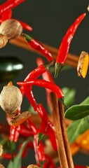 Poster - Super Slow Motion of Flying and Rotating Spices Mix. Filmed on High Speed Cinema Camera, 1000 fps. Vertical Aspect Ratio.