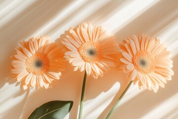 Wall Mural - A bouquet of bright orange flowers perched on a clean white surface