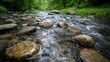 Crystal-clear river flowing over smooth stones in a lush green forest, viewed from a low perspective near the watera??s edge.