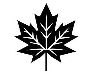 Poster - artistic black vector of a maple leaf design