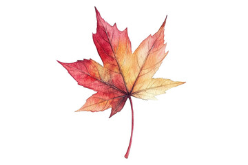 Wall Mural - A leaf that radiates the charm of autumn