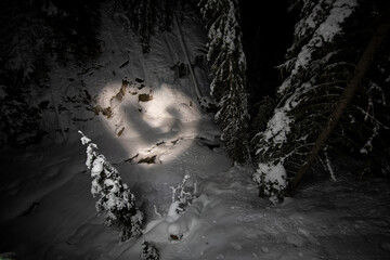 forrest at night with snow and heart