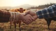 © Mrs. Studio - farmers shaking hands in front of cows, symbolizing dealing partnership