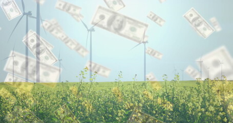 Poster - Wind turbines in field with money falling image