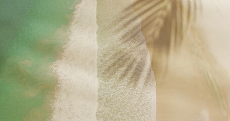 Poster - Image of palm tree leaf over beach and sea