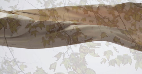 Poster - Image of floating cloth over fall leaves