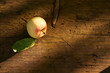 © Tatyana Lavrova/Stocksy - A ripe apple with a green leaf on a wooden table under the sunlight.