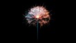 © HISTOCK - Bright burning sparkler resembling dandelion flower on black background