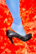© Colour Laboratory/Stocksy - Fashion style beautiful classic high heel on a furry background