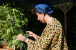 © Malquerida Studio/Stocksy - Woman taking care of cannabis plant