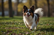 © mr - The Joy of Dogs: Celebrating Our Canine Companions