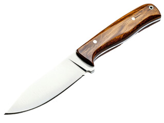 knife with a wooden handle and a silver blade