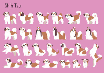 Wall Mural - a collection of almost all shih tzu dog movements. cute chinese dog flat design style illustration.