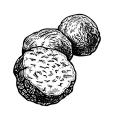 Wall Mural - truffle engraving black and white outline