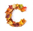 © Obsidian - Alphabet letter C made of autumn maple leaves isolated on white background