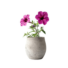 Wall Mural - Purple Petunias in a Concrete Pot