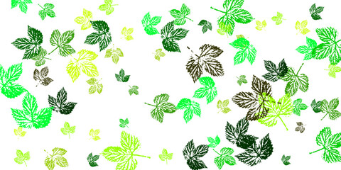 Wall Mural - Adobe Illustrator Artwork