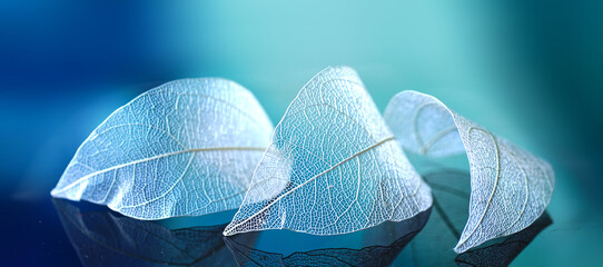 Aufkleber - White transparent leafs on mirror surface with reflection on blue background macro. Abstract artistic image template border natural dreamy image.