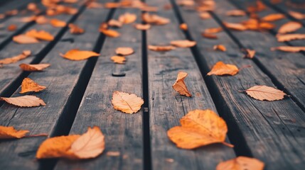 Aufkleber - Fallen autumn leaves resting on wooden planks