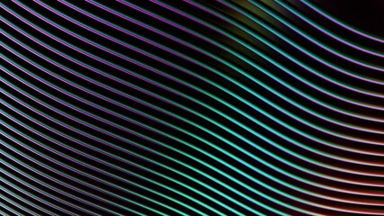 Poster - loop 3d animation of an abstract background made of many curved lines.