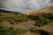 © Connect Images - Sand dunes and vegetation under a cloudy sky with a small water stream in the foreground, Northland, New Zealand