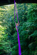 © Connect Images - Aerial silk performer executing a pose on purple fabric amidst lush green forest trees, USA