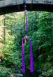 © Connect Images - Aerial silk performer executing a pose under a wooden bridge in a lush green forest setting, USA