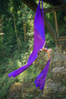 © Connect Images - Aerial performer demonstrating a pose with purple silk fabric suspended from a bridge in a lush green forest setting, USA