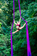 © Connect Images - Aerial silk performer executing a graceful pose in vibrant purple silks against a lush green forest backdrop, USA