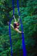 © Connect Images - Aerial silk performer executing a pose in bright blue fabric against a lush green forest backdrop, USA