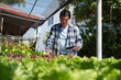 © eakarat - Young Asian man is recording information about organic vegetables on his farm, trying to collect and check vegetables on his laptop.
