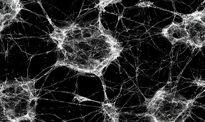 Intricate spiderweb texture on black background; perfect for Halloween, gothic, or nature-themed designs.  High-resolution image.